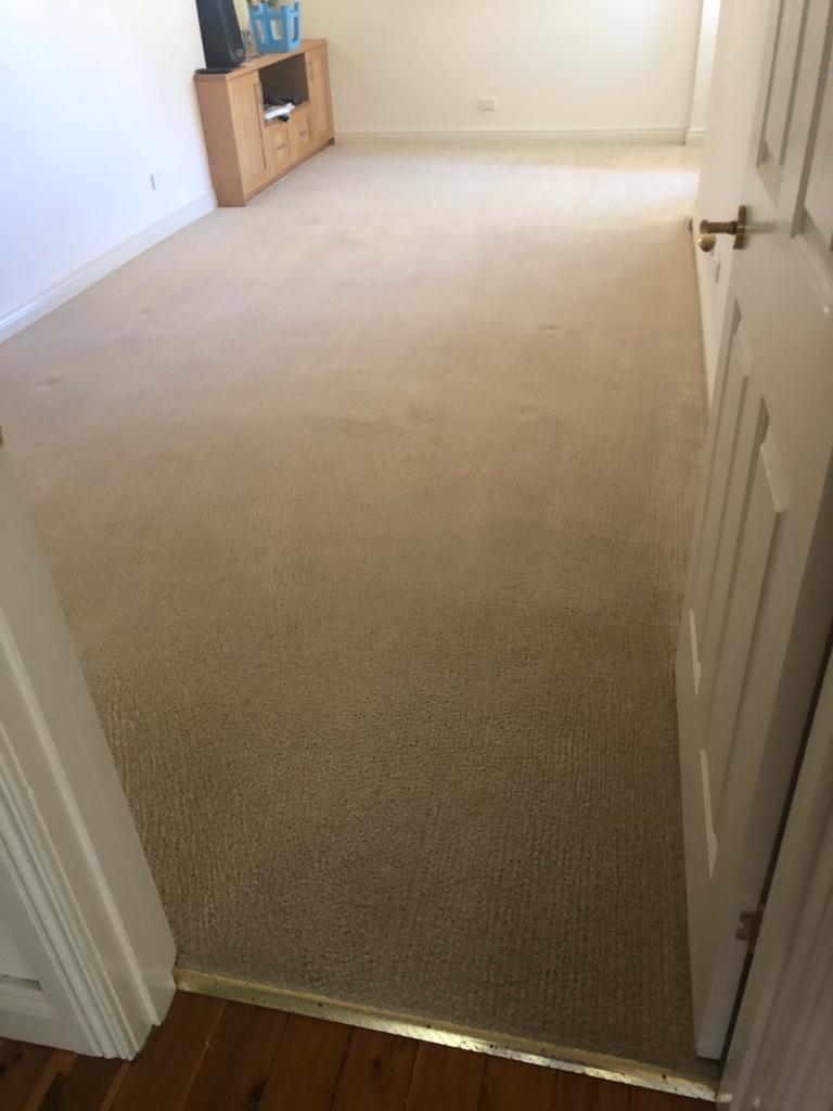 Austen’s Complete Carpet Care Echuca & Moama