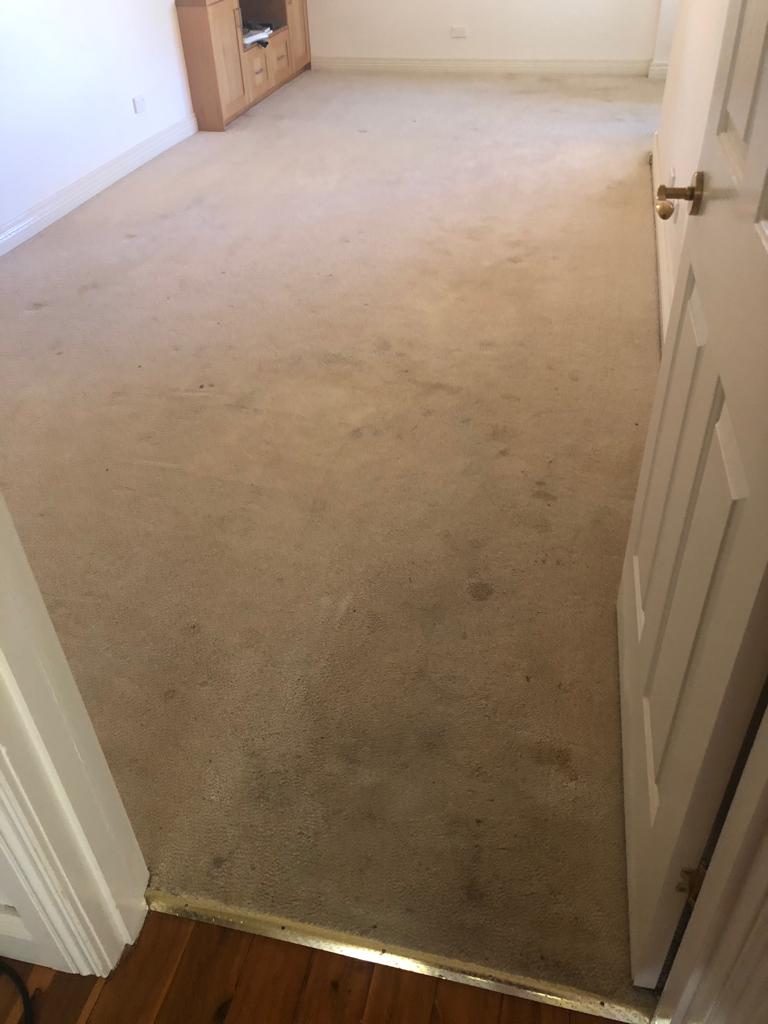 Austen’s Complete Carpet Care Echuca & Moama