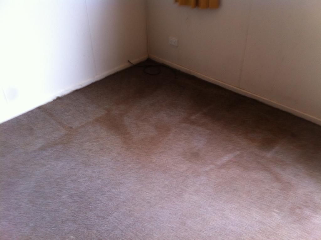 Austen’s Complete Carpet Care Echuca & Moama