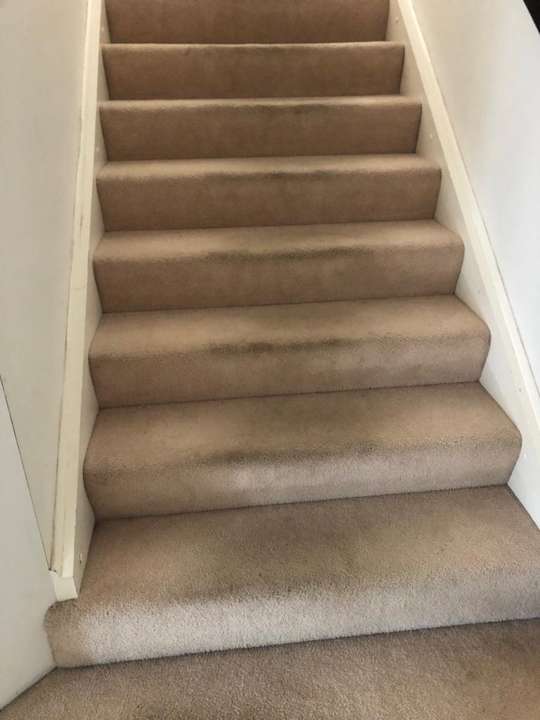 Austen’s Complete Carpet Care Echuca & Moama