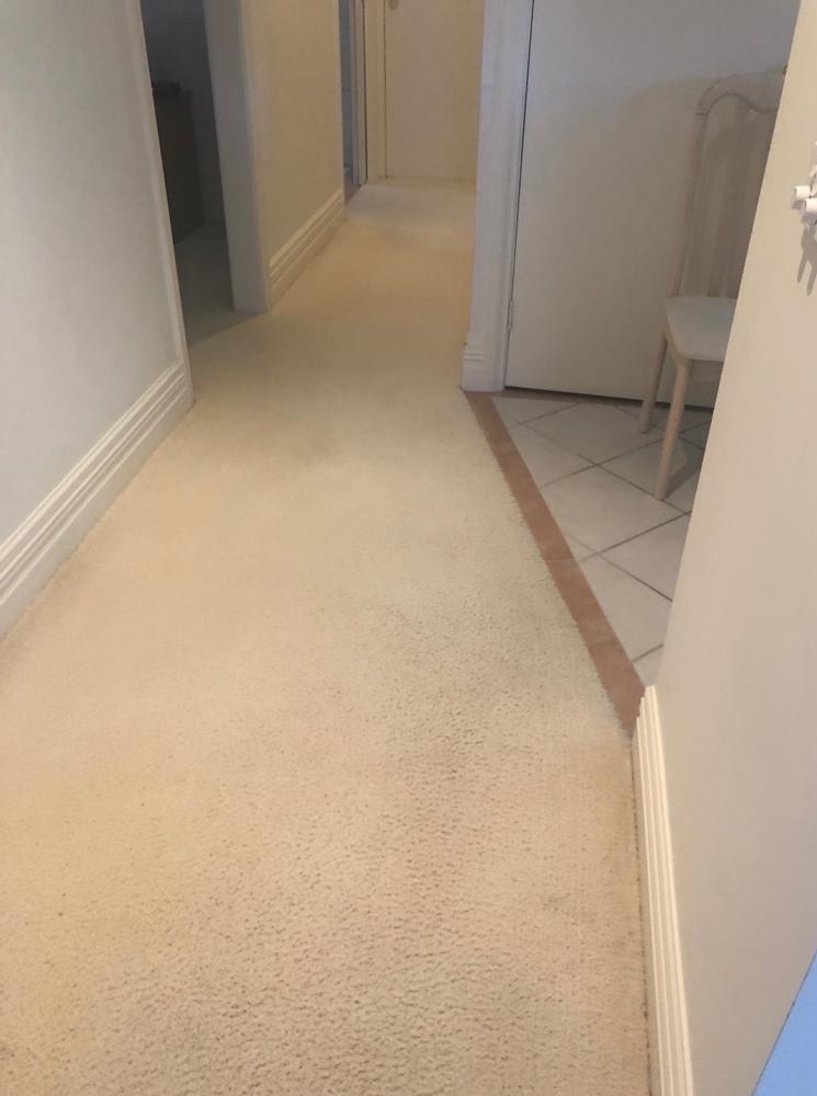 Austen’s Complete Carpet Care Echuca & Moama